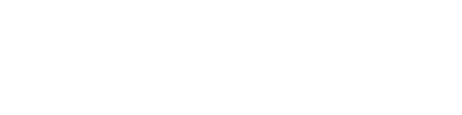 08-NetSafe.png